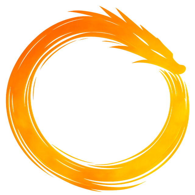 OM VPN logo: a golden-orange dragon forming a circle.